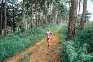 BIB: 
                            <button type="button" onclick="openModal(25661686)" class="btn btn-primary btn-sm float-right btn-popup" data-toggle="modal" data-target=".modal-high-quality">
                        <i class="fas fa-shopping-cart"></i> Add to Cart
                    </button>
                                            <button type="button" onclick="isThisMe(25661686, true)" class="btn btn-success btn-sm float-right btn-popup btn-isme hidden" data-toggle="tooltip" data-placement="bottom" title="นี่คือรูปของคุณใช่ไหม คลิกที่นี่เพื่อเอาเข้าอัลบั้ม">
                        <i class="fas fa-plus"></i> Add to album
                    </button>
                    <button type="button" onclick="isThisMe(25661686, false)" class="btn btn-warning btn-sm float-right btn-popup btn-isnotme hidden">
                        <i class="fas fa-ban"></i> Remove from album
                    </button>